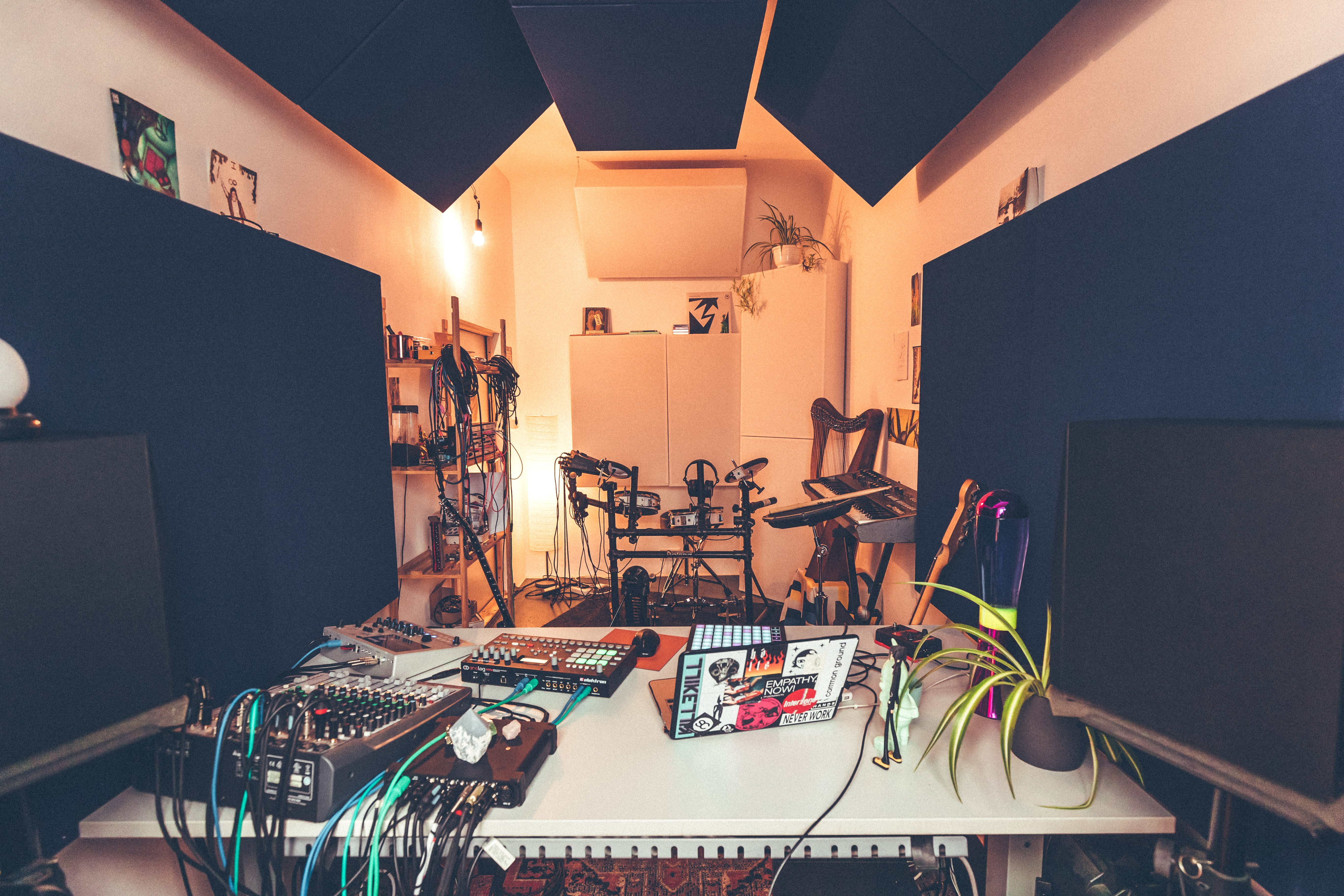 Bass Control Kit 13u