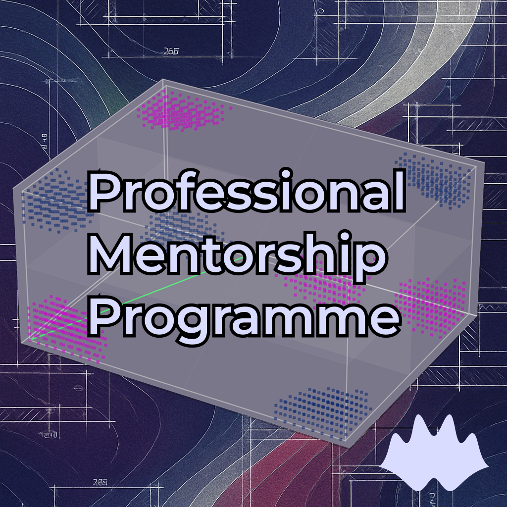 Professional Mentorship Programme
